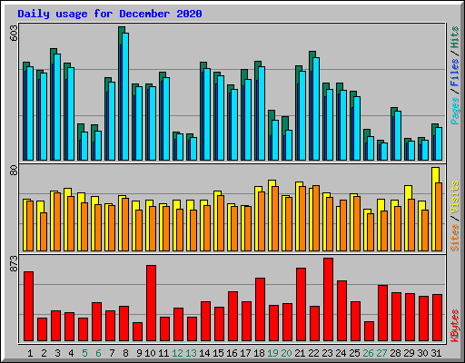 Daily usage for December 2020