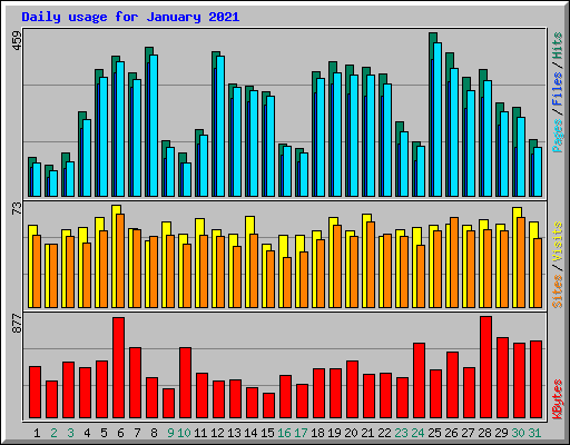 Daily usage for January 2021