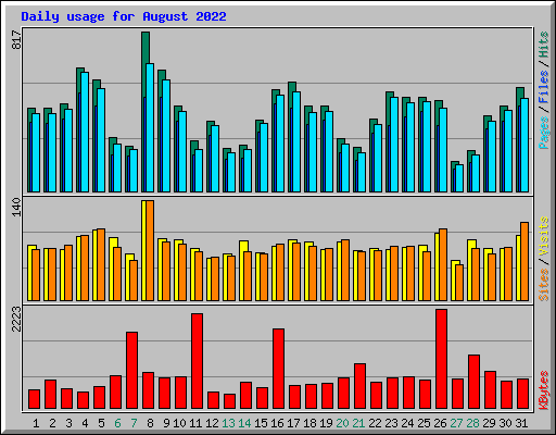 Daily usage for August 2022