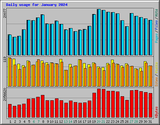 Daily usage for January 2024
