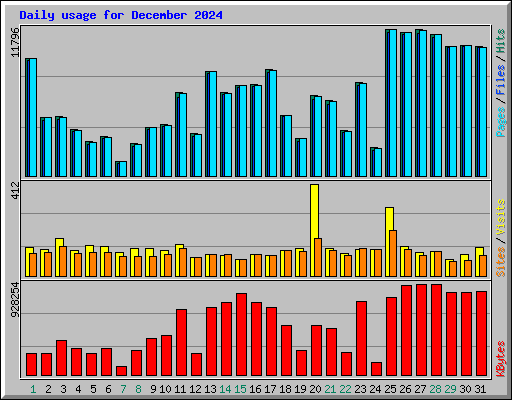 Daily usage for December 2024