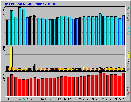 Daily usage for January 2025