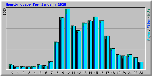 Hourly usage for January 2020