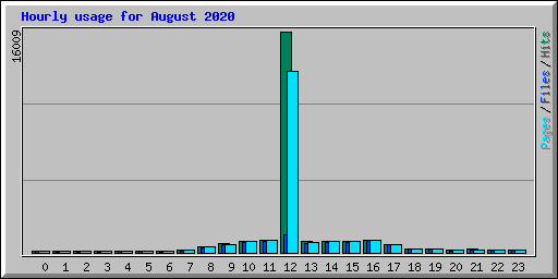 Hourly usage for August 2020
