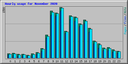 Hourly usage for November 2020