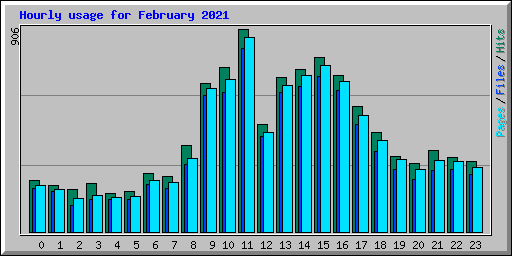 Hourly usage for February 2021