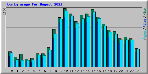 Hourly usage for August 2021