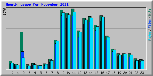 Hourly usage for November 2021