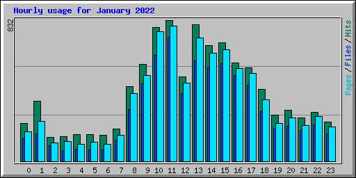 Hourly usage for January 2022