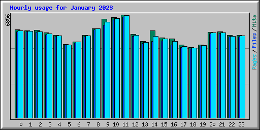 Hourly usage for January 2023