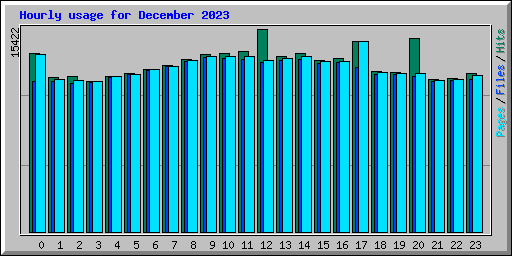 Hourly usage for December 2023