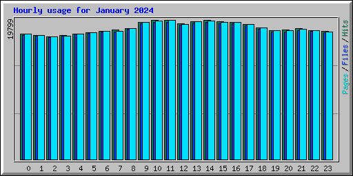 Hourly usage for January 2024