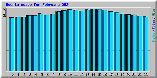 Hourly usage for February 2024