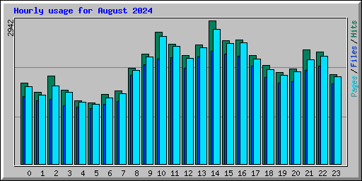 Hourly usage for August 2024
