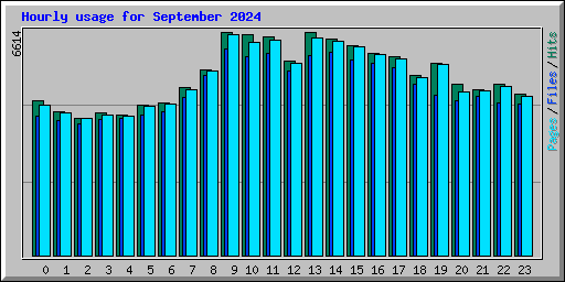 Hourly usage for September 2024