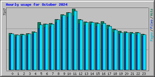 Hourly usage for October 2024