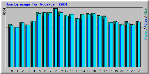 Hourly usage for November 2024