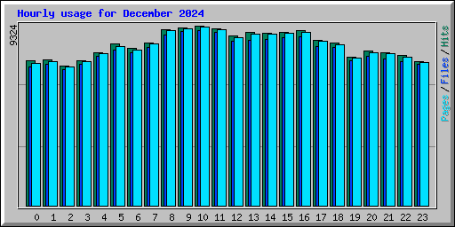 Hourly usage for December 2024