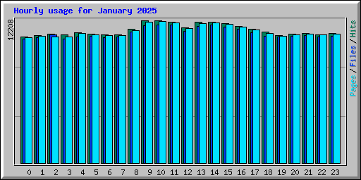 Hourly usage for January 2025