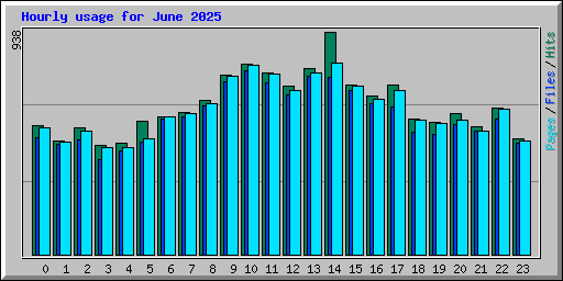 Hourly usage for June 2025