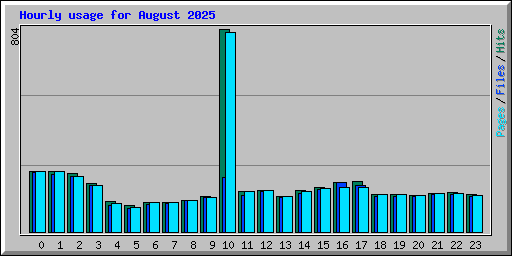 Hourly usage for August 2025