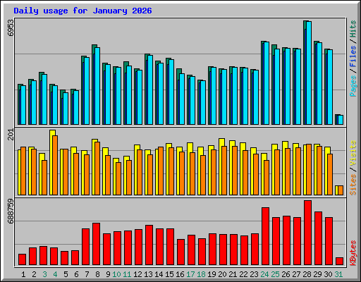 Daily usage for January 2026