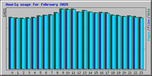 Hourly usage for February 2025