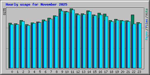 Hourly usage for November 2025