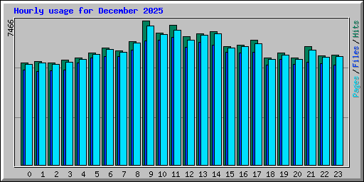 Hourly usage for December 2025