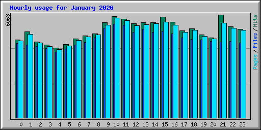 Hourly usage for January 2026