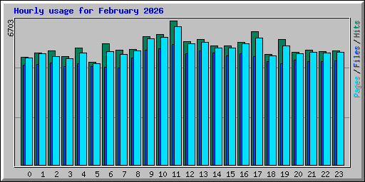 Hourly usage for February 2026
